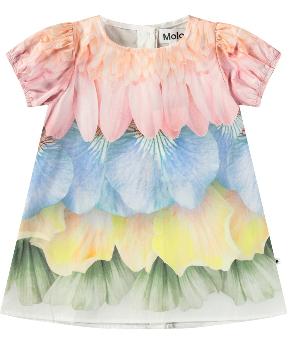 Caja - Petal Rainbow - Popelinekleid aus Öko-Baumwolle für Babys. Weite Passform. Das Kleid ist mehrfarbig mit einem Druck von Federn und Blütenblättern.