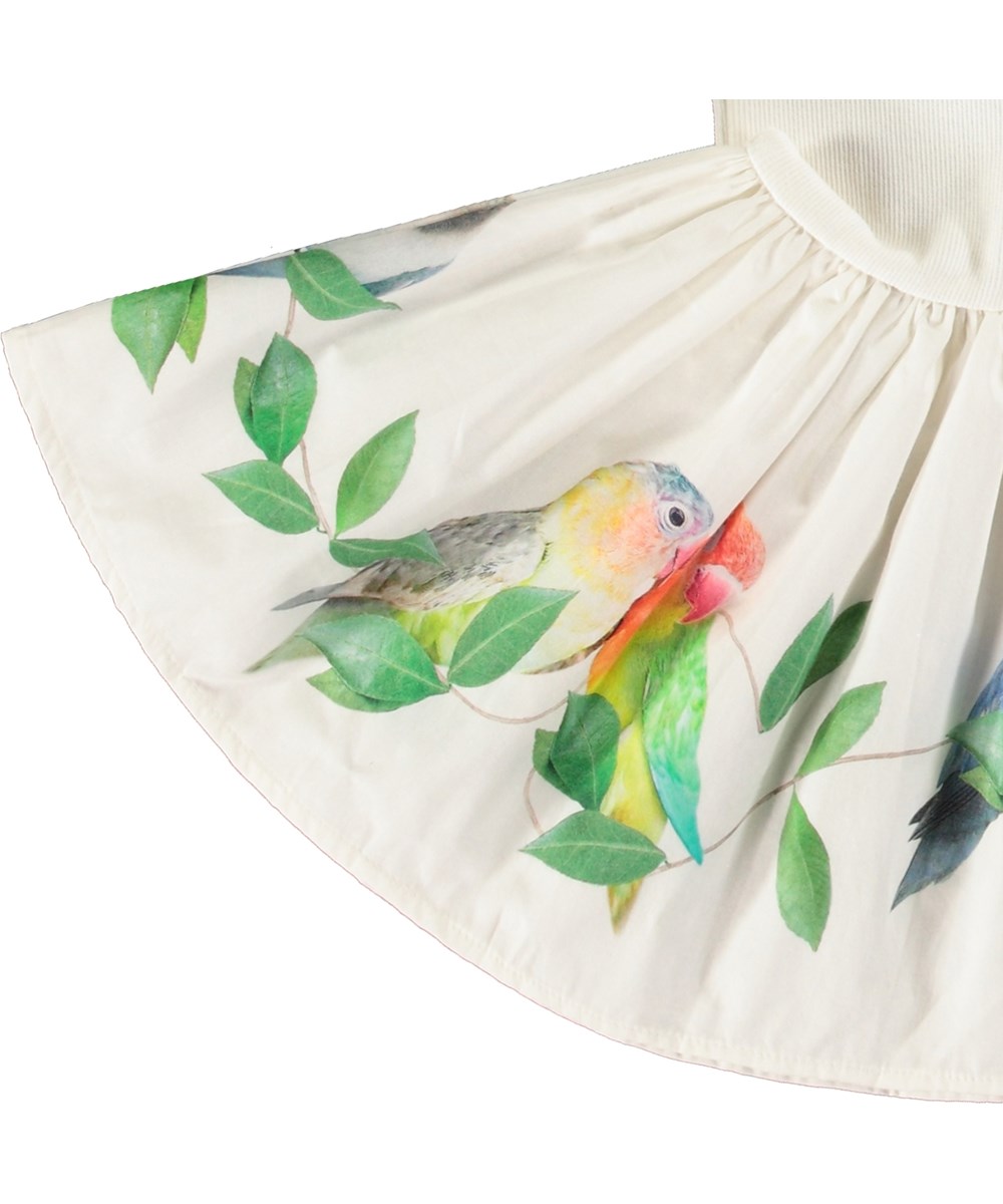 Carin - Birdies - Kleid für Baby aus Öko-Baumwolle. Das Kleid ist weiß mit einem Druck von kleinen Papageien.