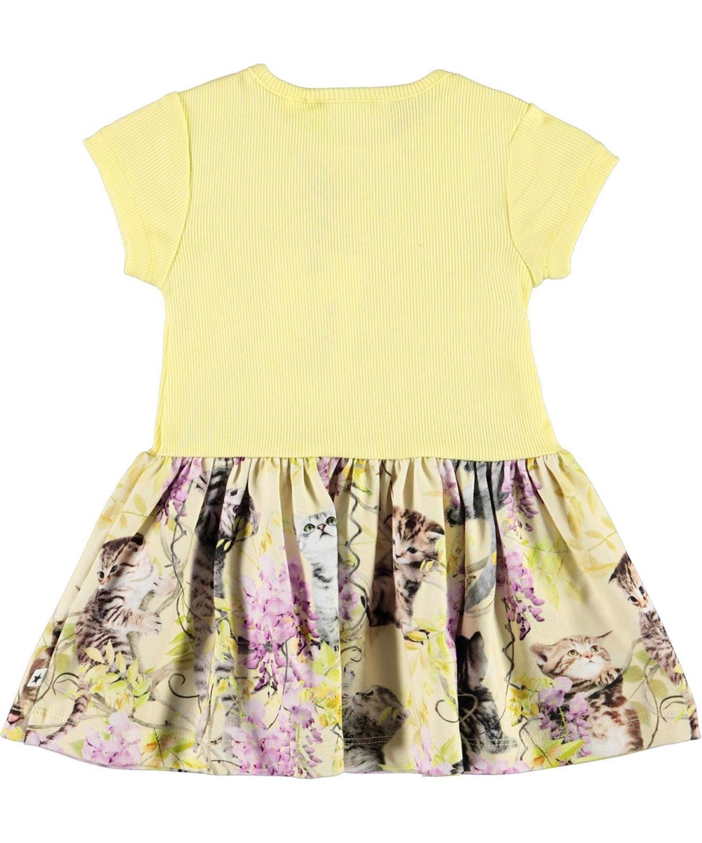 Catja - Clumsy Cuteness - Hellgelbes kurzärmliges Öko-Kleid Glyzinien Katzen