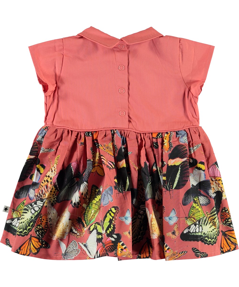 Cinna - Baby Papillon - Baby Kleid mit Kragen und Schmetterlingen