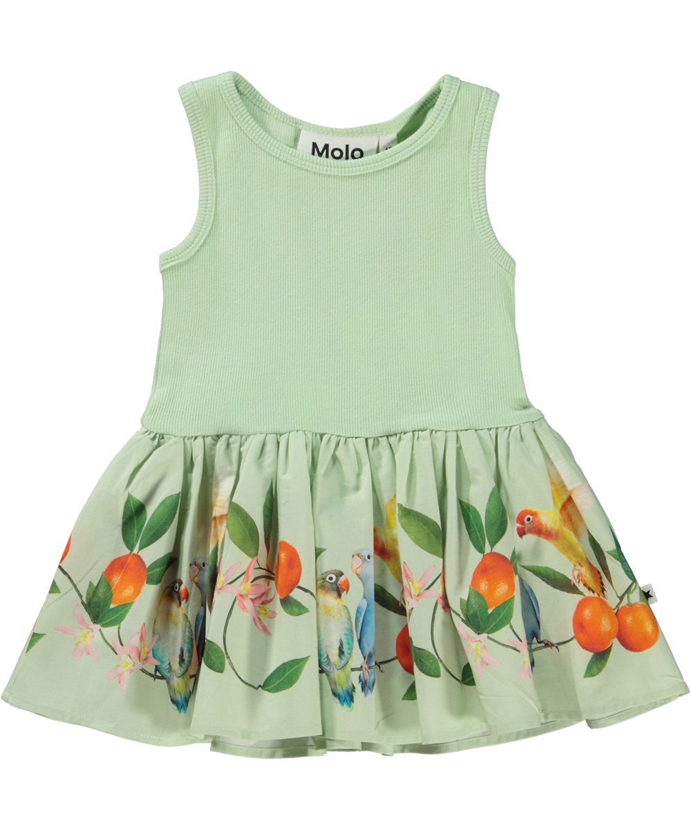 Cordelia - Sweet Parakeet - Grünes Öko-Babykleid mit Vögeln und Mandarinen-Print auf dem Rock