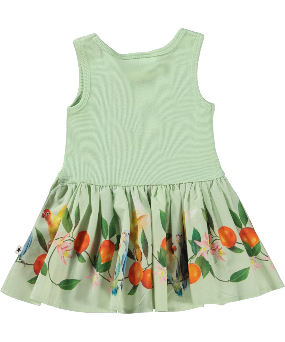 Cordelia - Sweet Parakeet - Grünes Öko-Babykleid mit Vögeln und Mandarinen-Print auf dem Rock