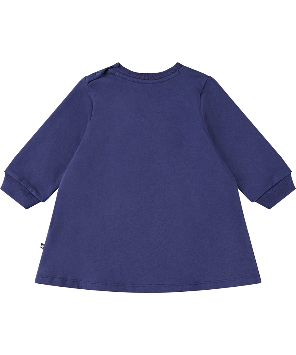 Corey - Kitten Star Blue - Blaues Sweatkleid aus Öko-Baumwolle mit einem Frontdruck von drei Kätzchen in einem sternenklaren Himmel.