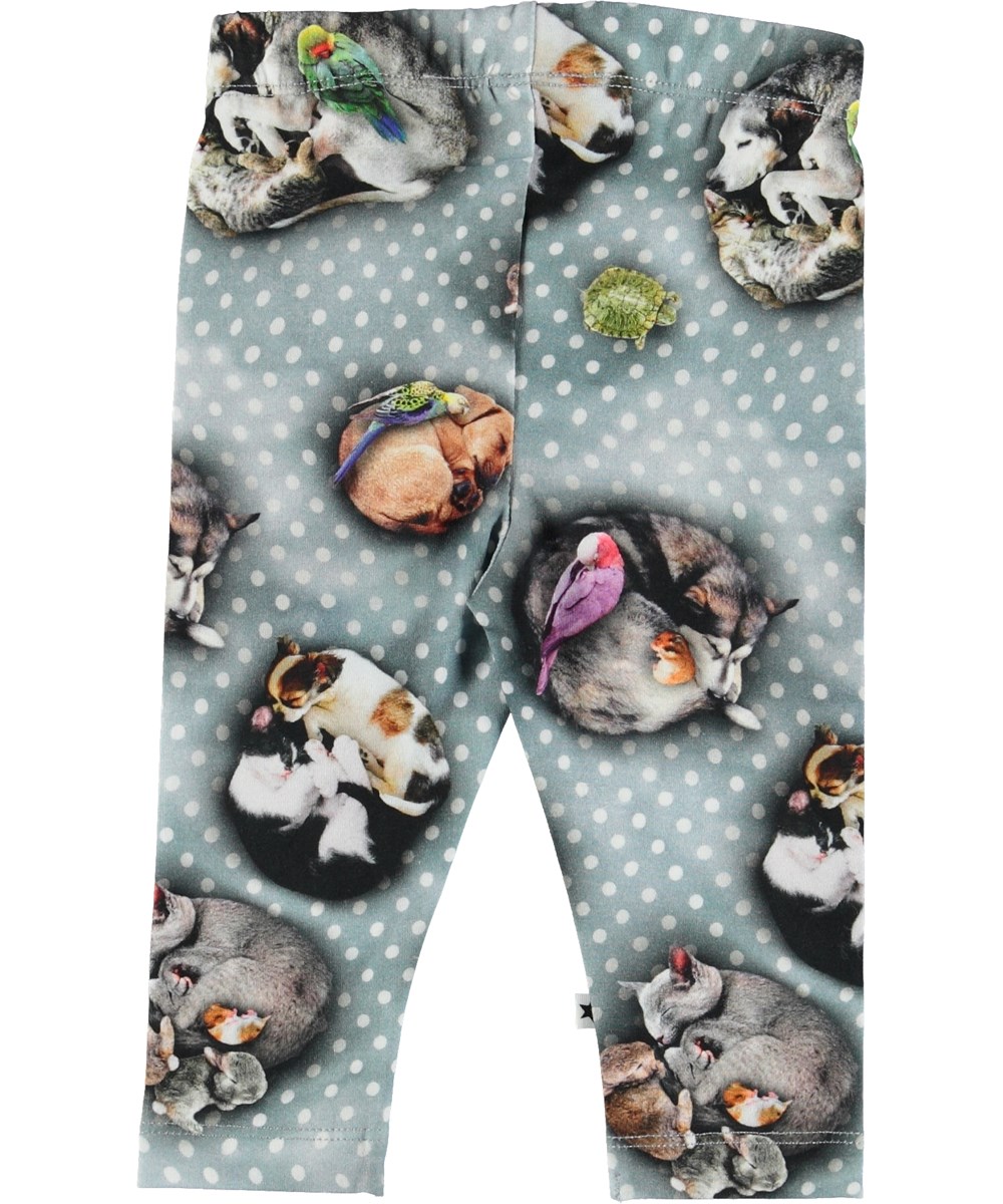 Stefanie - Pets'n Dots - 