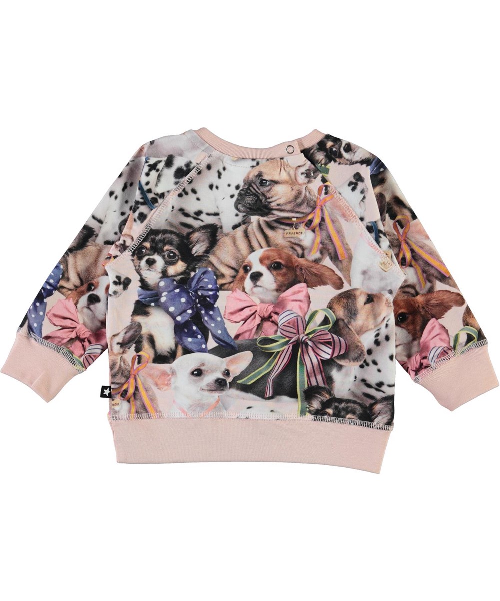 Elsa -  Puppy Love - Öko Baby-Pullover mit Hunde-Druck