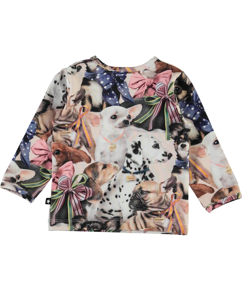 Eva -  Puppy Love - Öko Baby-Pullover mit Hunde-Druck