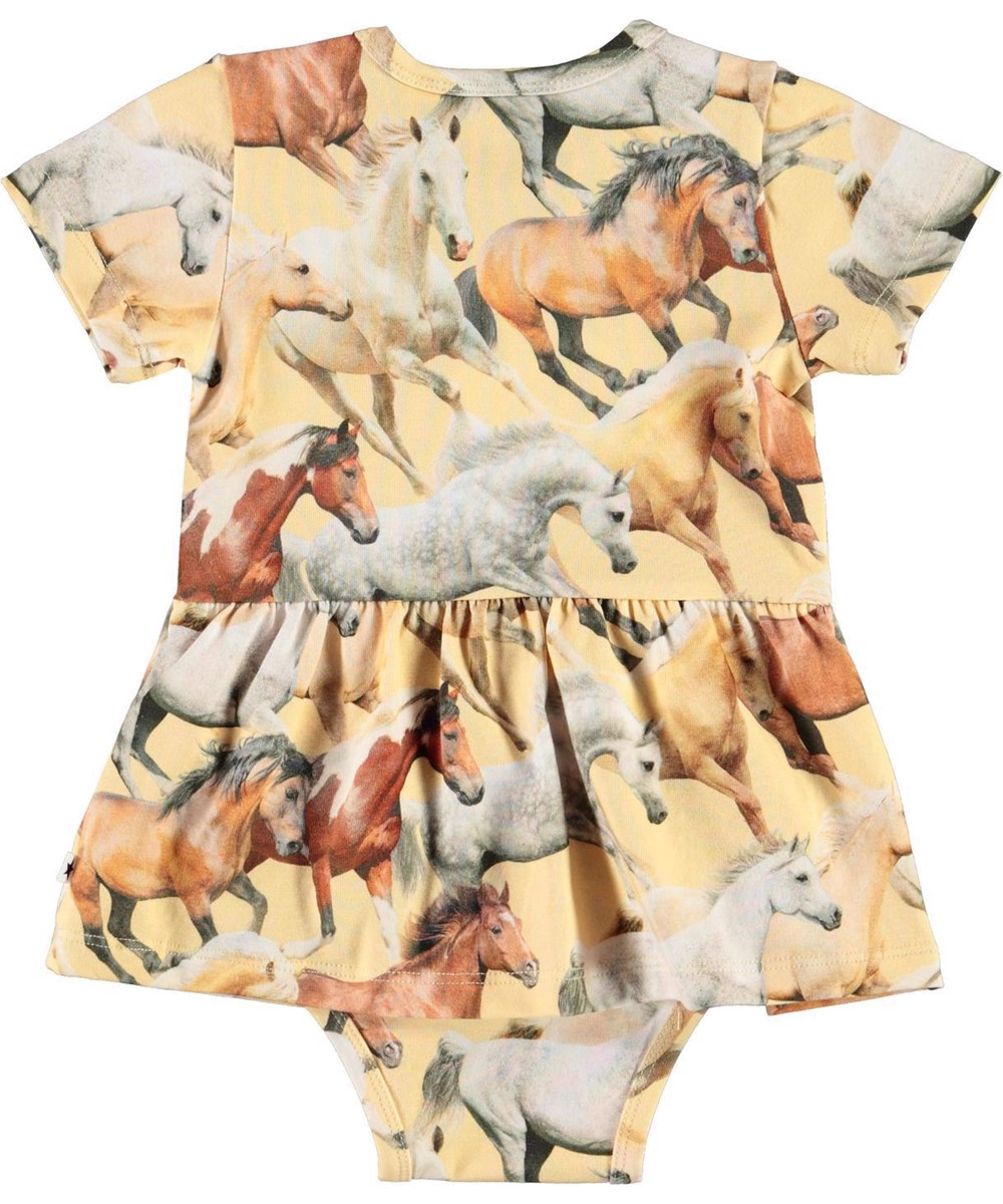 Frannie - Horse Dreams Baby - 