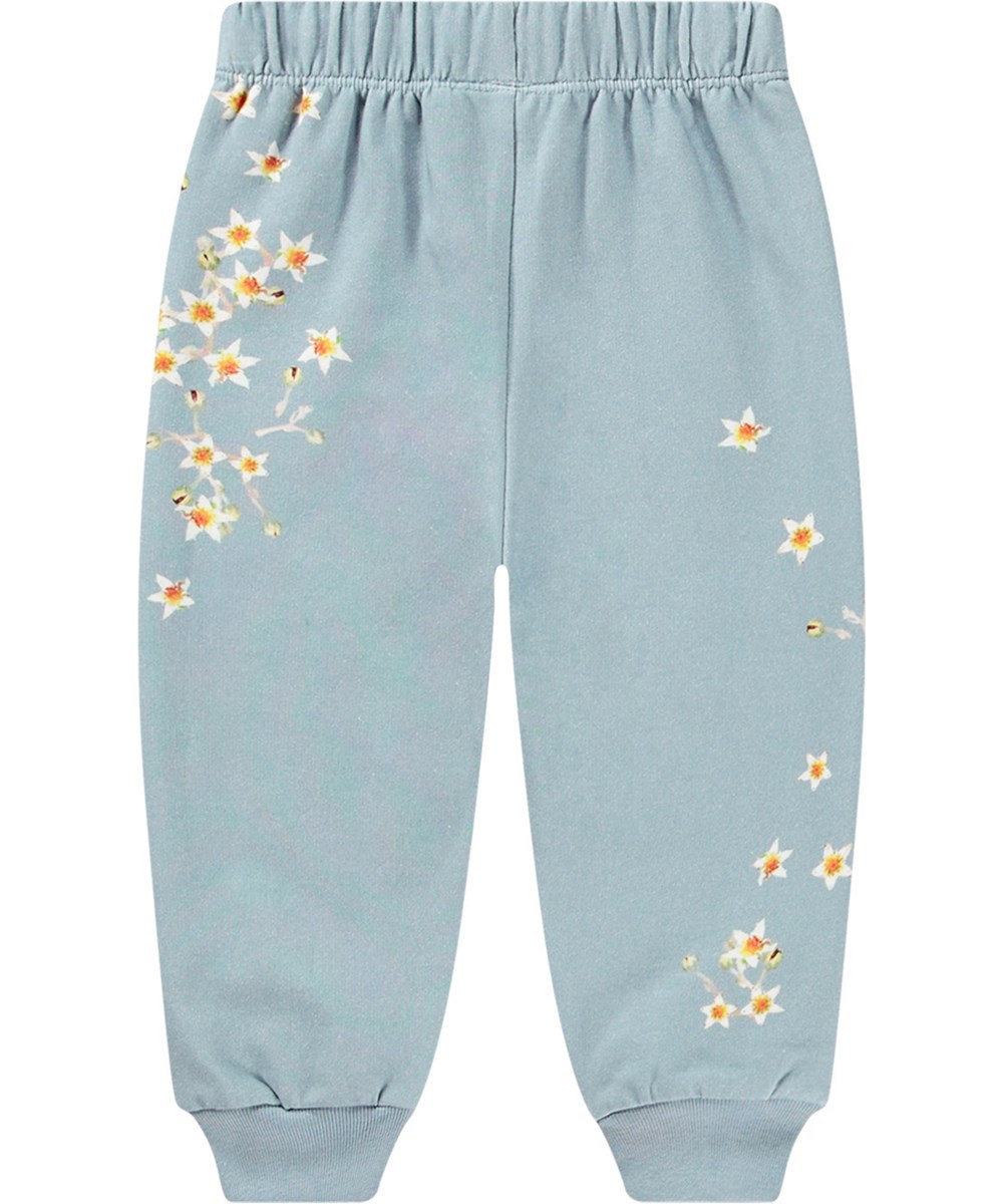 Simeon - Kitten Star Dusty - Lichtblauwe biologische katoenen joggingbroek met elastische tailleband, geribbelde boorden en bloemenprint.