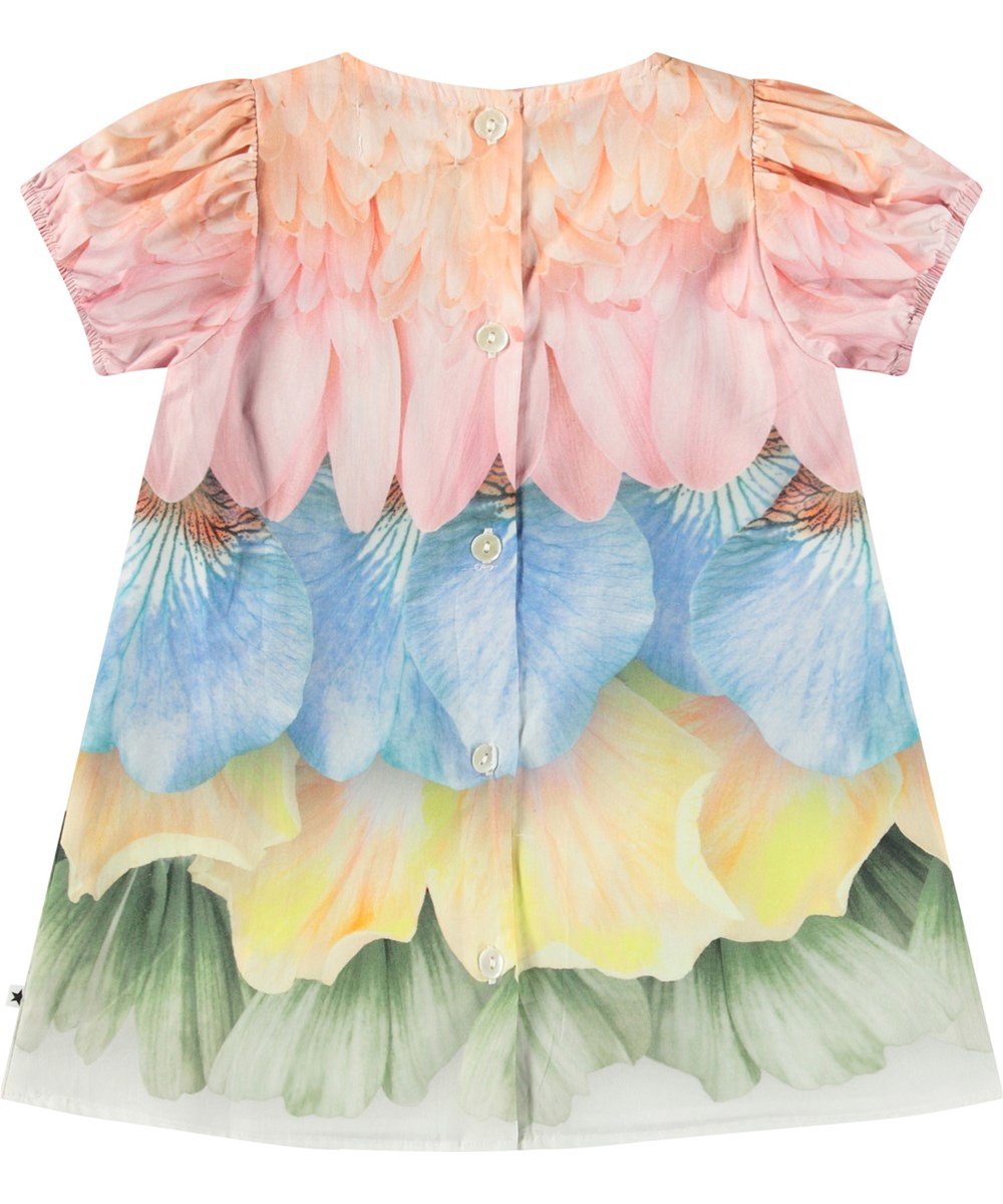 Caja - Petal Rainbow - Babyjurk van biologisch poplin katoen. Het heeft een ruimvallende pasvorm. De jurk  heeft een kleurrijke print van veren en bloemblaadjes.