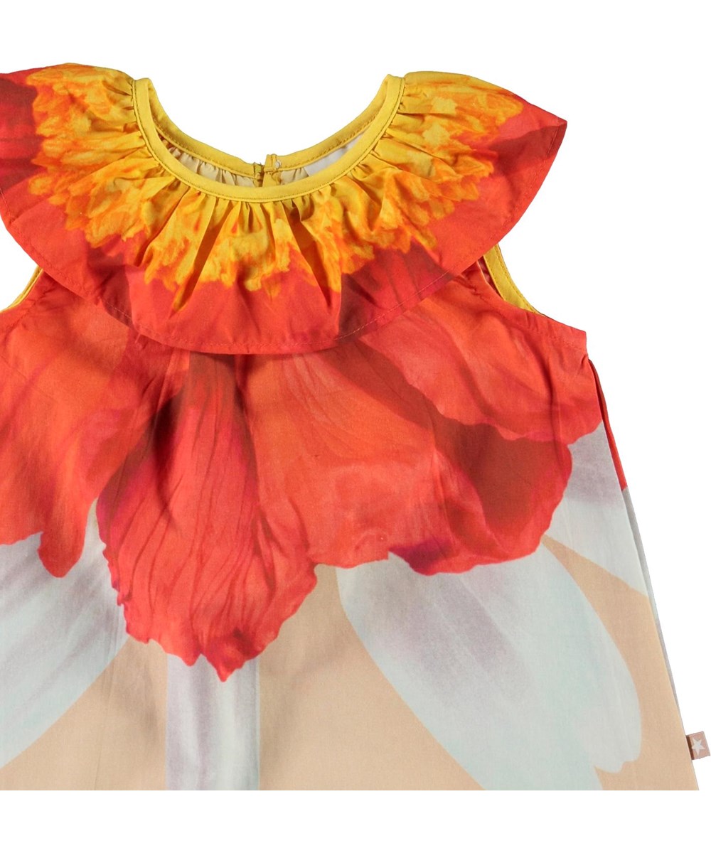 Ciera - Petals - Biologische babyjurk met bloemenprint