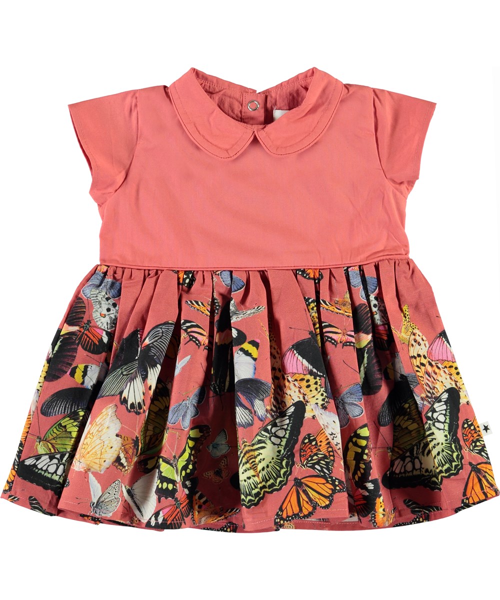 Cinna - Baby Papillon - Babyjurk met kraag en vlinders