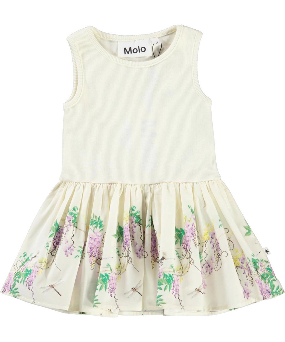 Cordelia - Baby Wisteria - 