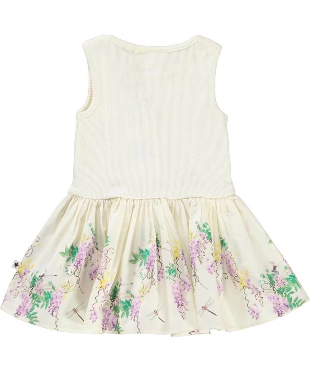 Cordelia - Baby Wisteria - 