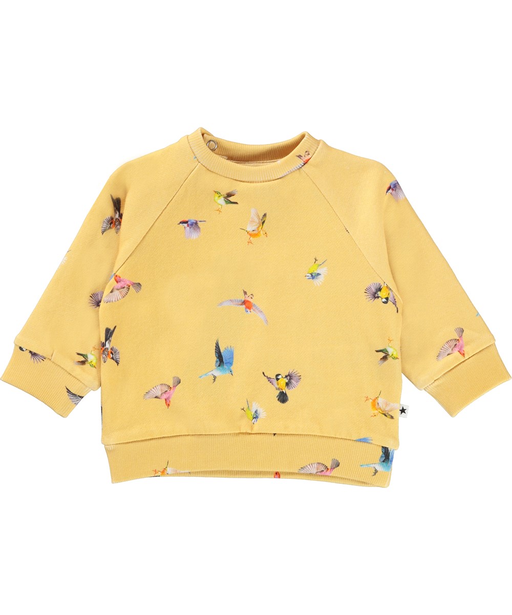Dicte - Mini Birds - Gele babysweater met vogels