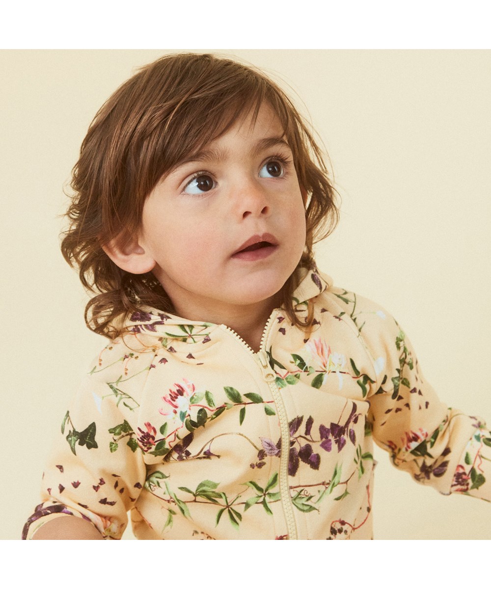 Dorothy - Petal And Stem - 