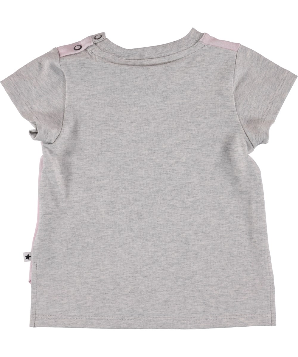 Erin - Chihuahua - Baby T-Shirt