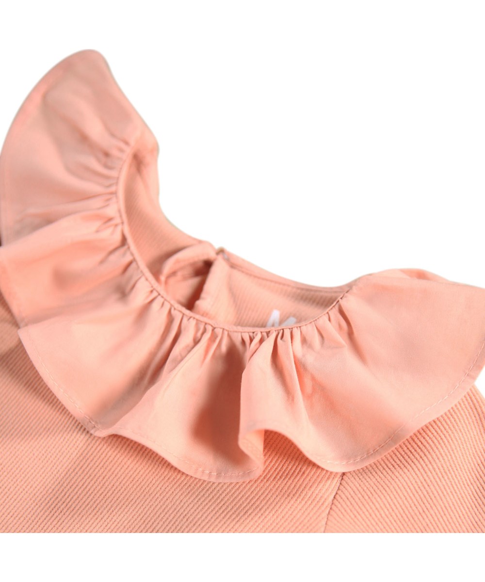 Faye - Rose Cloud - Rosa langærmet body i ribbet økologisk bomuld med stor krave til baby.