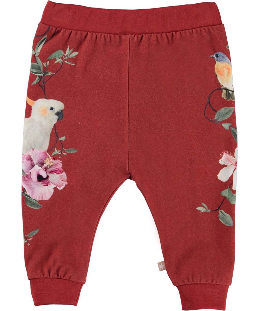 Susanne - Hibiscus Birds - Økologiske røde babybukser 