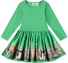 Candi Dresses