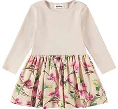 Carel Dresses