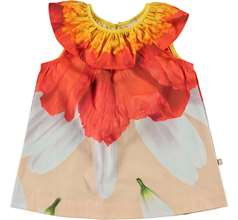 Ciera Dresses