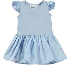 Cimi Dresses