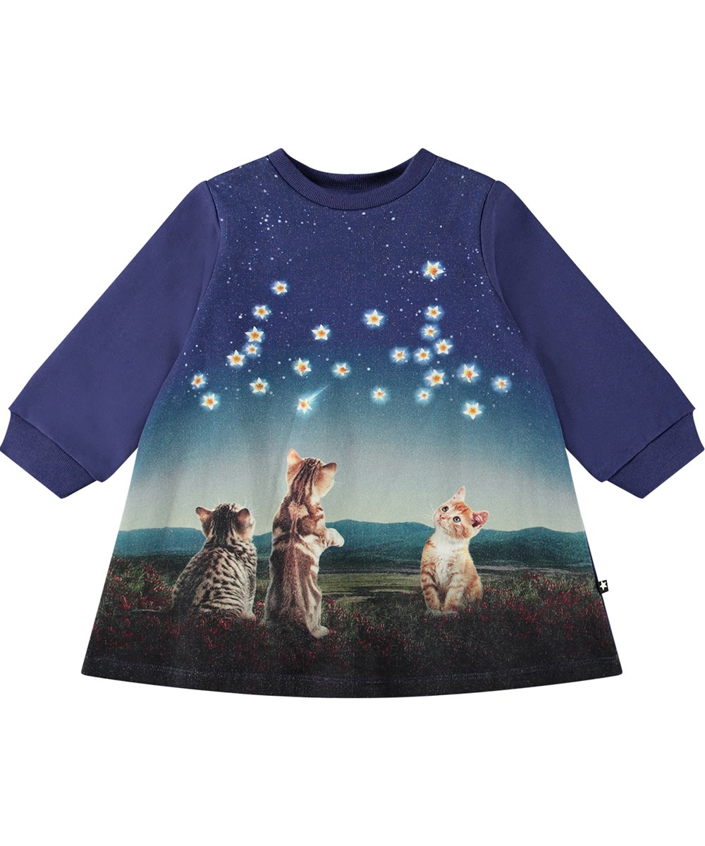 Corey - Kitten Star Blue - Blå sweatkjole til de mindste i økologisk bomuld med et print af tre kattekillinger i nattens mørke, en stor åben stjernehimmel