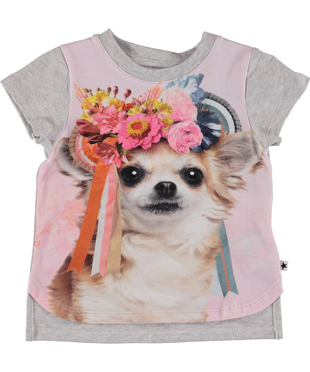 Erin - Chihuahua - Baby T-Shirt