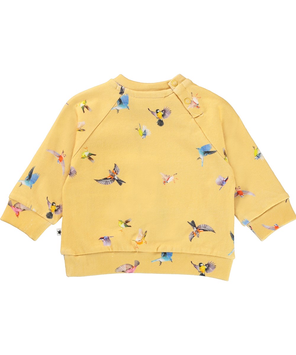 Dicte - Mini Birds - Gul baby sweatshirt med fugle