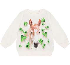 Disc Sweaters
