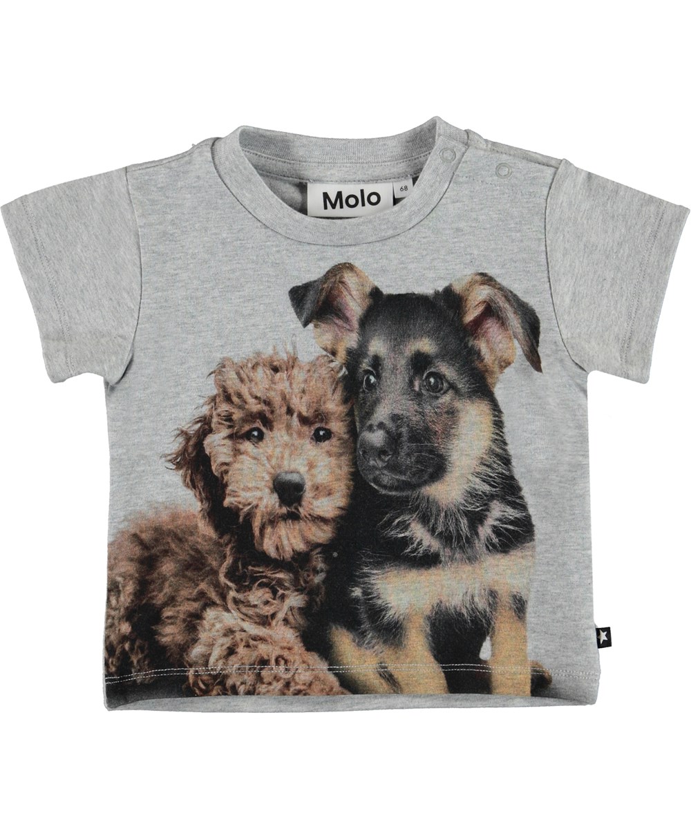 Emilio - Pups Mates - Grå ekologisk baby t-shirt med hundvalpar.