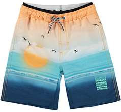 Neal Swimwear