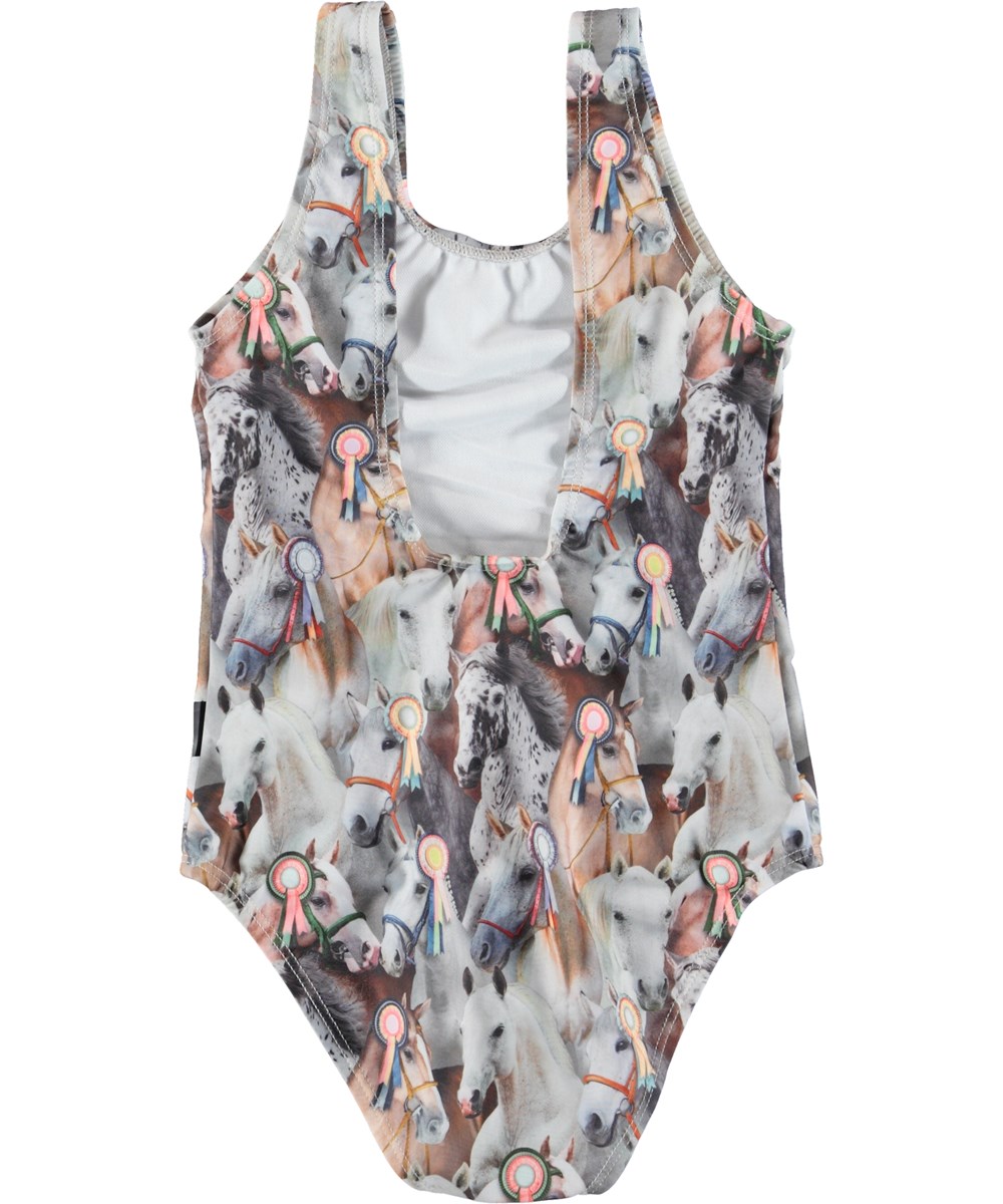 Nika - Best In Show Small - 