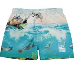 Niko Swimwear