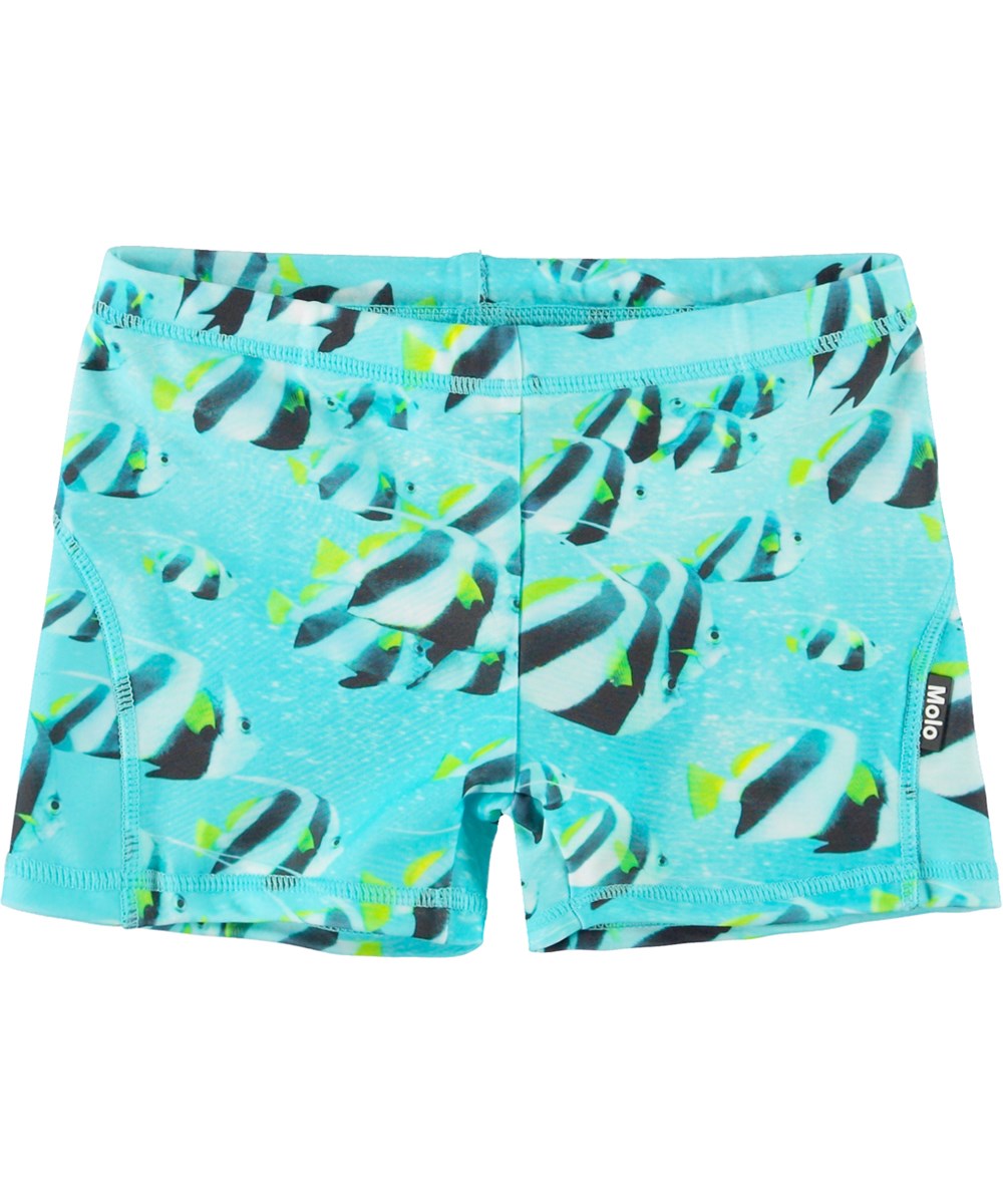 Norton - Fishing Shoal - Türkisfarbene Badehose mit Fischdruck