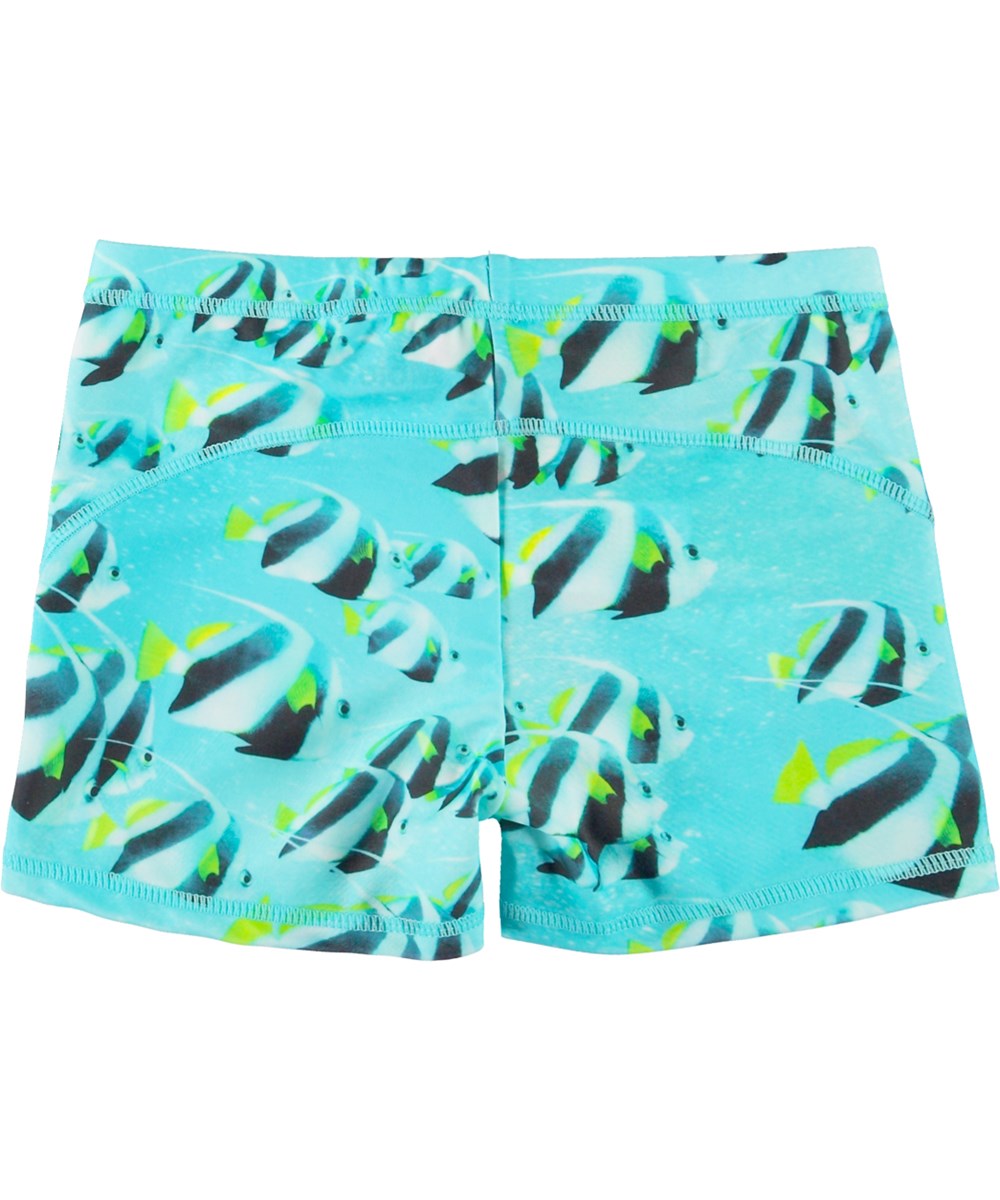 Norton - Fishing Shoal - Türkisfarbene Badehose mit Fischdruck