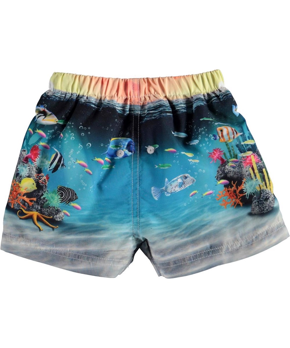 Newton - Happy Baby Fish - UV babybadebukser med havets fisk