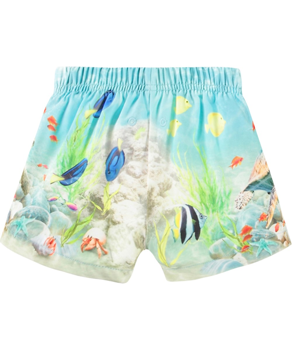 Newton - Happy Ocean - Baby badeshorts fremstillet i genanvendt polyester med UV-beskyttelse 50+.