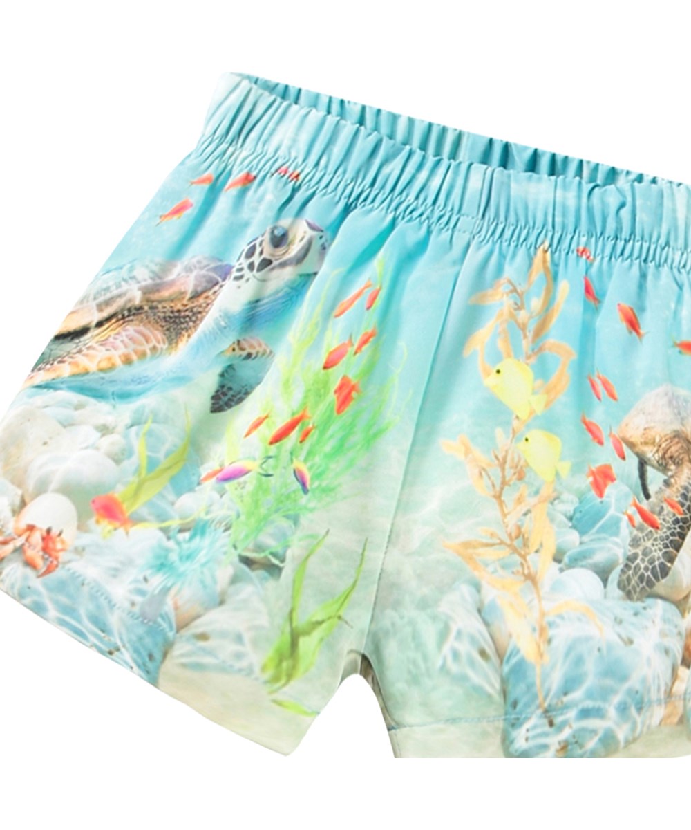 Newton - Happy Ocean - Baby badeshorts fremstillet i genanvendt polyester med UV-beskyttelse 50+.