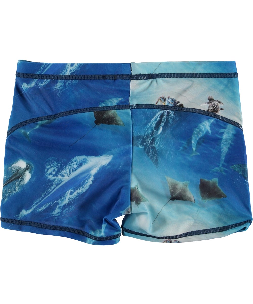 Norton - Above Ocean - UV badebukser med hav print