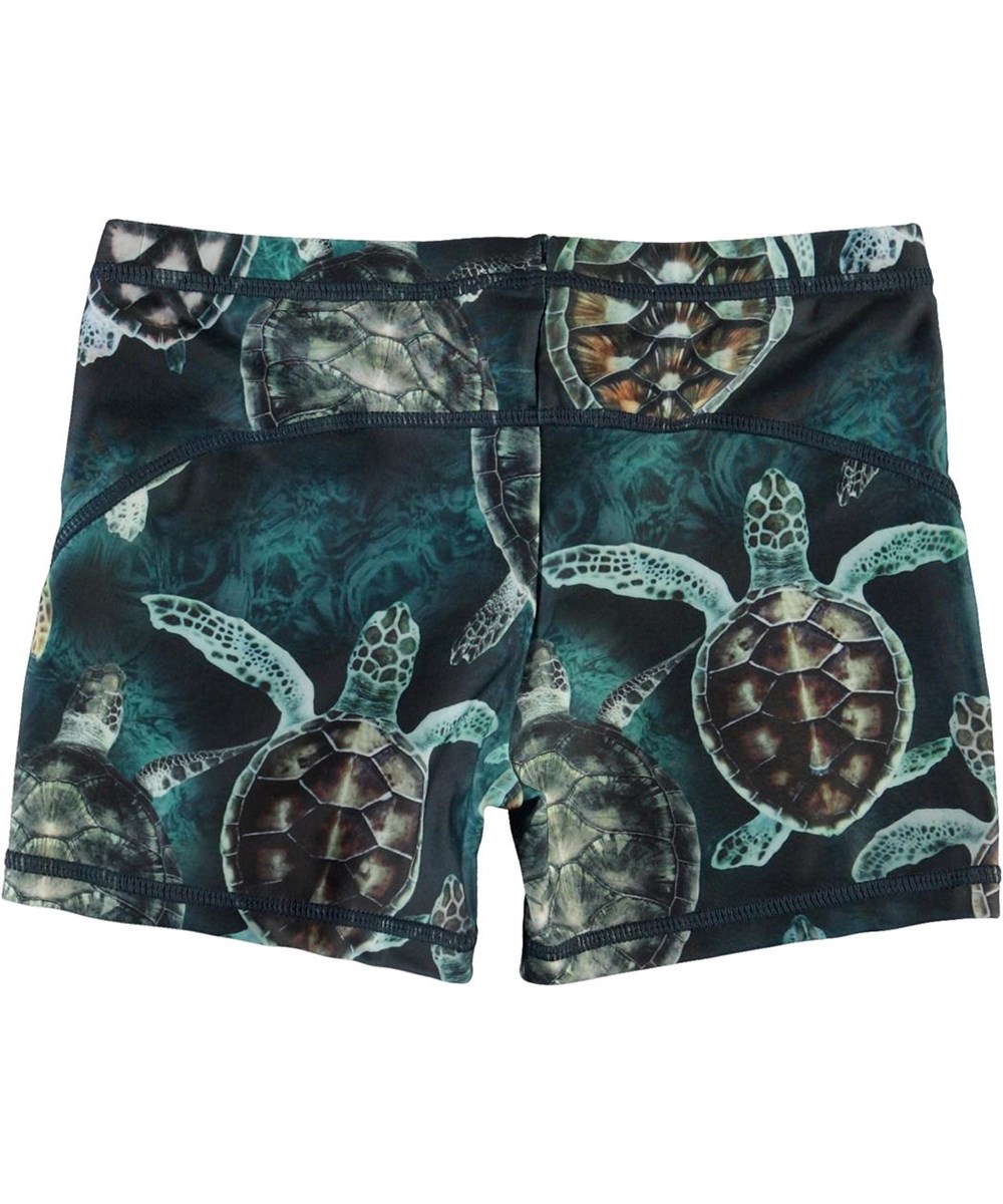 Norton - Sea Turtles - UV korte badebukser med skildpadder