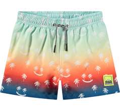 Niko Swimwear