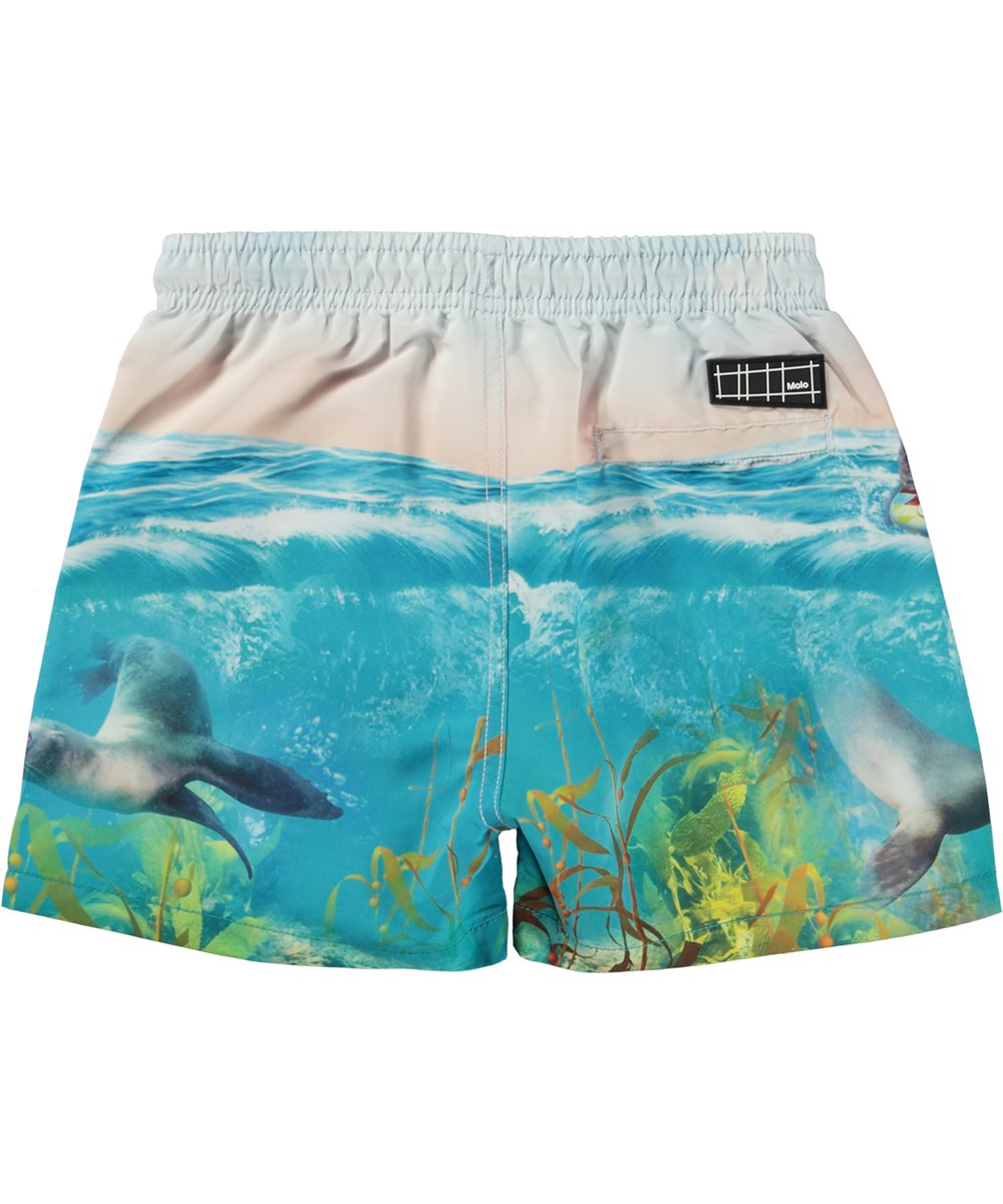 Niko - Sealion - Blå badshorts med korta ben och en surfande säl. 