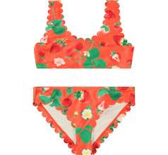 Nolina Swimwear