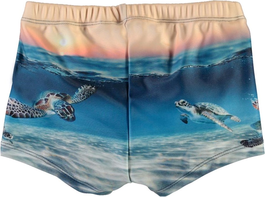 Nansen - Sea Turtle Sunset - UV baby zwembroek met schildpadden