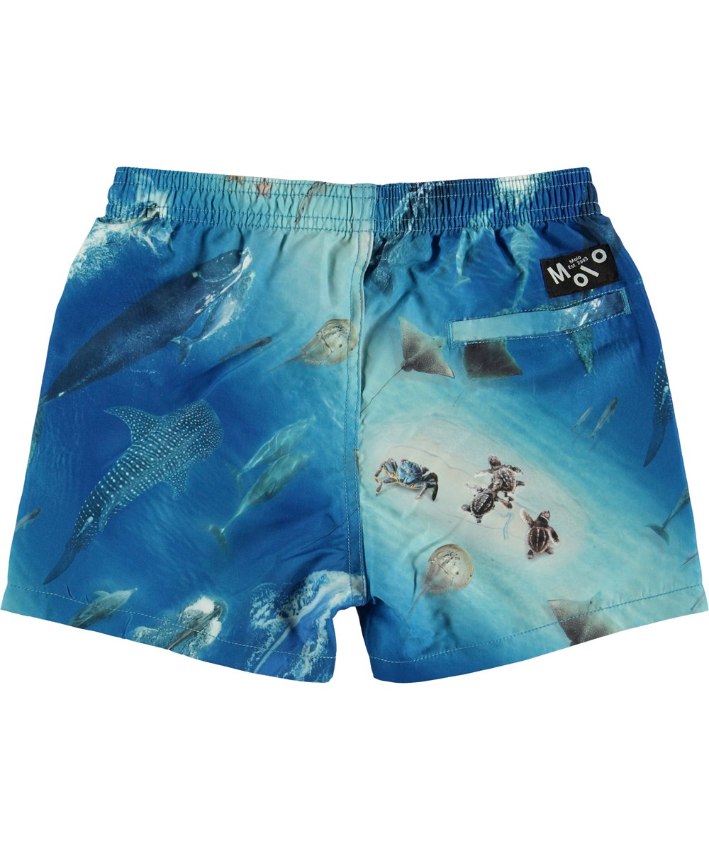 Niko - Above Ocean - UV zwemshort met oceaanprint