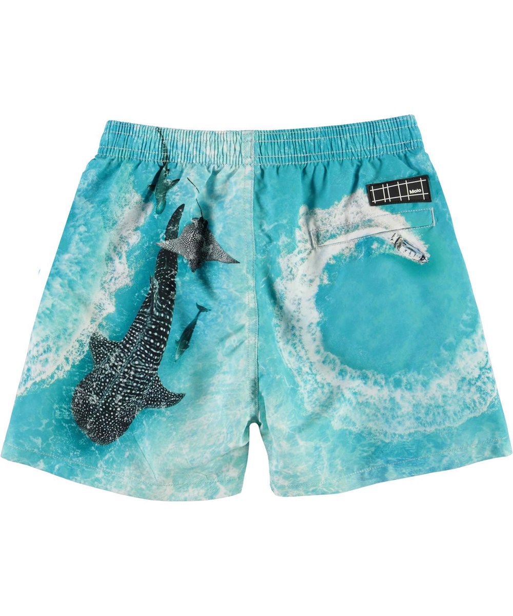 Niko - Boat Spin - Blauwe UV zwemshort met speedboot en haaien