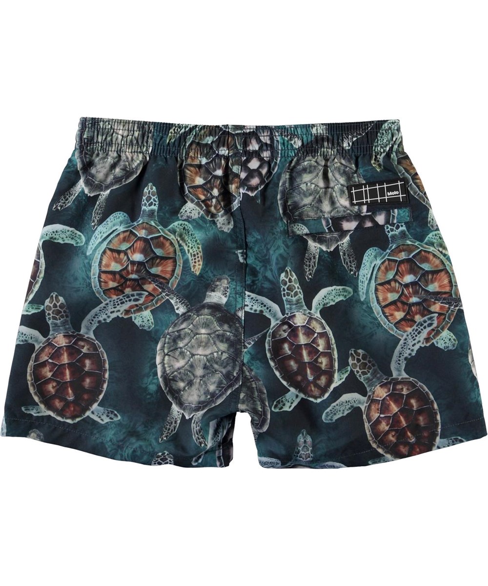 Niko - Sea Turtles - UV zwemshort met schildpadden