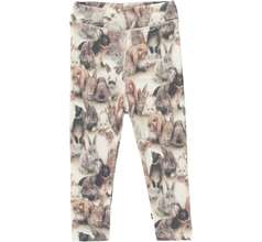 Sting Pants