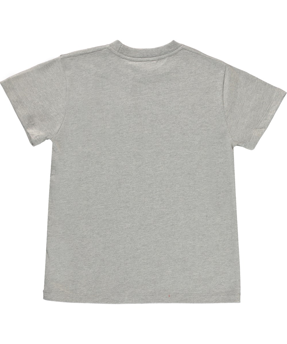 Roxo - Grey Melange - Ekologisk grå unisex t-shirt.